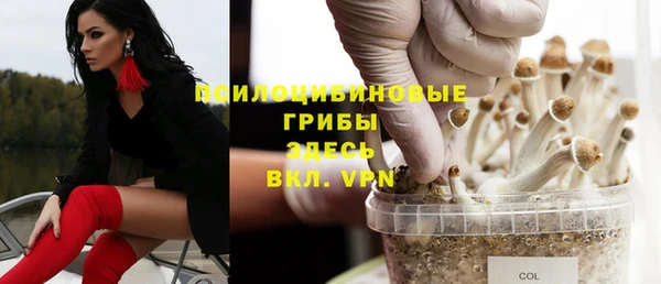 амф Абинск