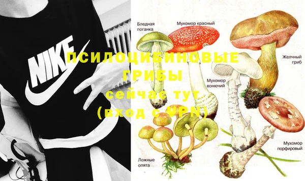 амф Абинск