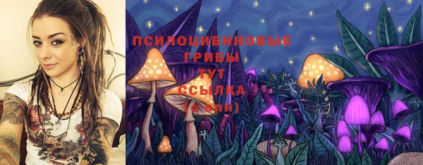 дурь Абдулино