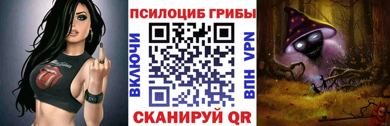 продажа наркотиков  Ефремов  darknet официальный сайт  Псилоцибиновые грибы Psilocybe 