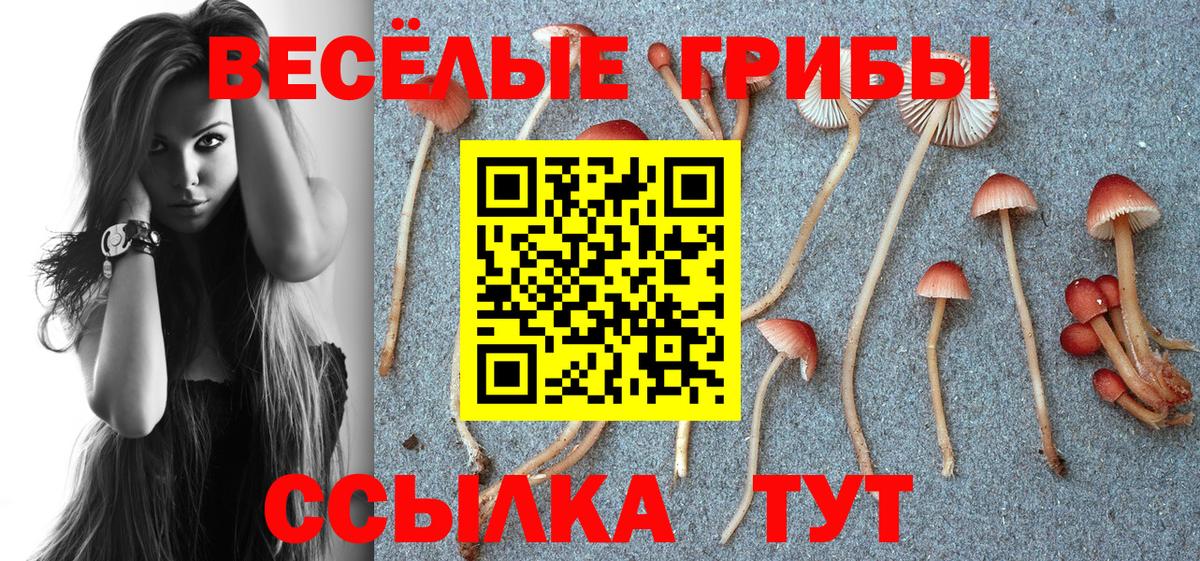 Псилоцибиновые грибы ЛСД  Вход с VPN  Ефремов 